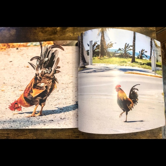 Cocks of Key West Coffee Table Book - Picture 13 of 16